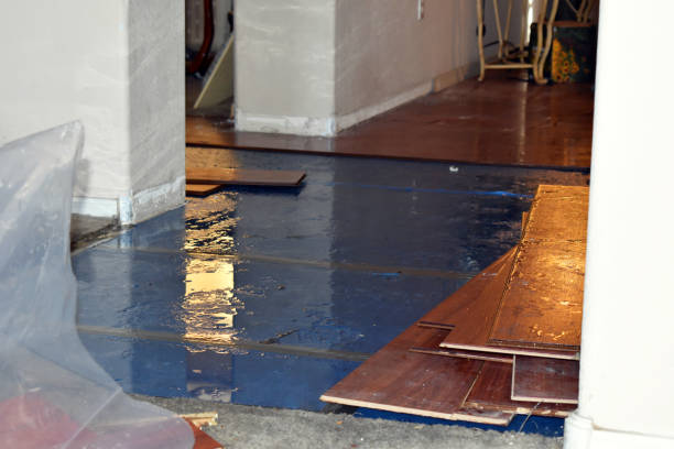 Professional Burst Pipe Cleanup technician working in Long Creek, IL