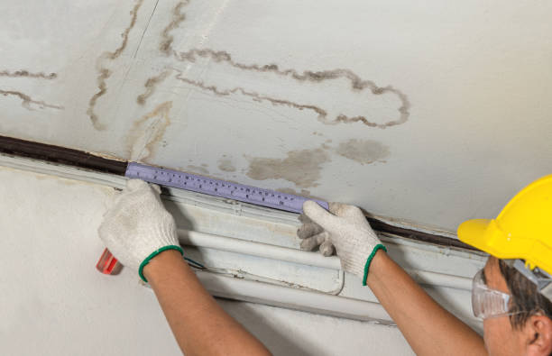 Reliable Burst Pipe Cleanup contractor in Long Creek, IL by Water Damage Irwin